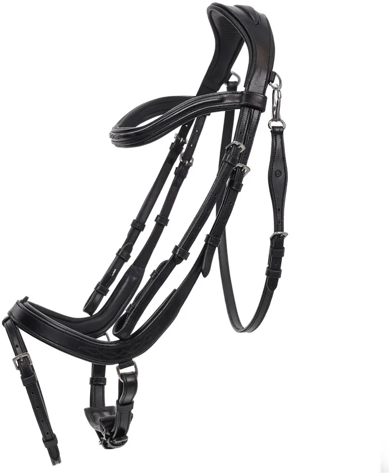 Hoofdstel voor paarden QHP Salerno by QHP in Black – product photo