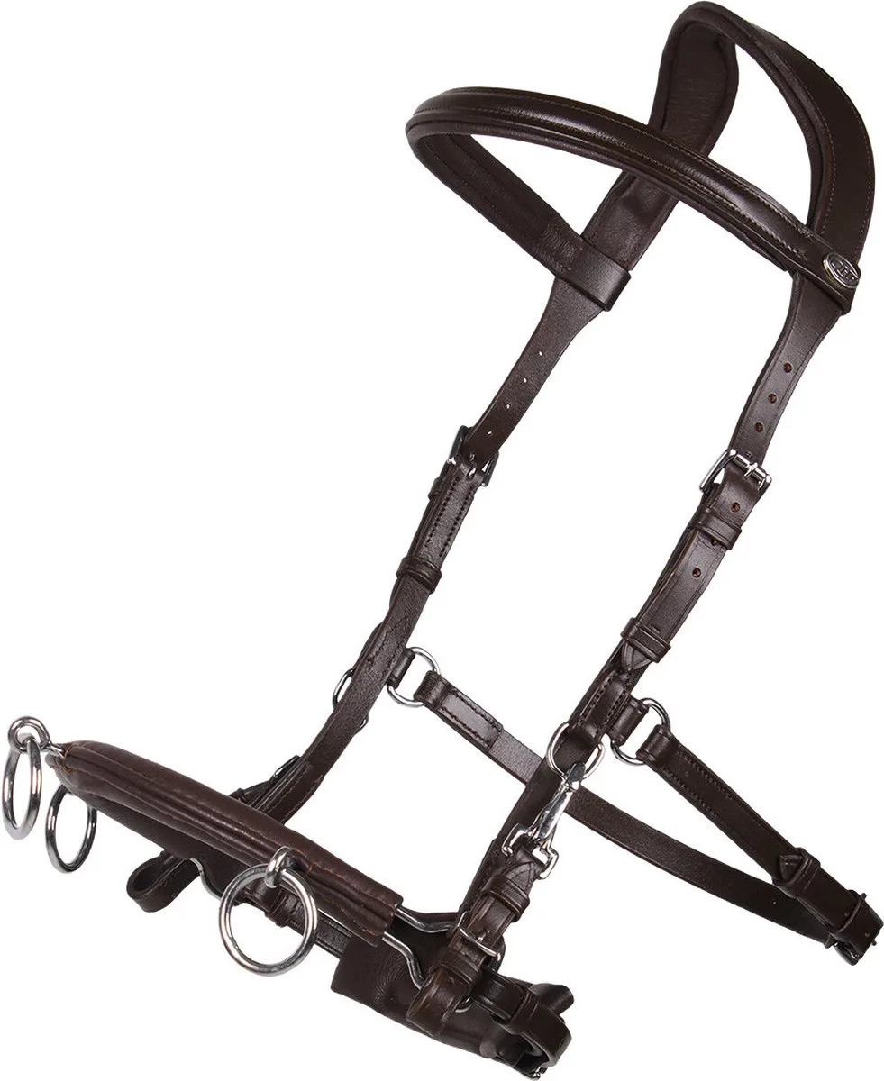 Kaptoom Leer - Pony van QHP in Bruin – productfoto