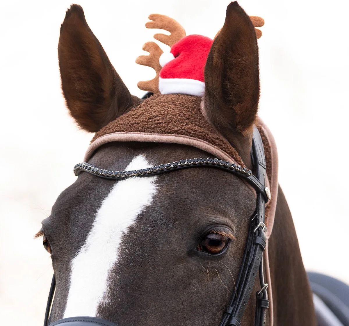 Kerstmuts Paard met gewei - Rood - Pony van QHP in Bruin – Rood – productfoto