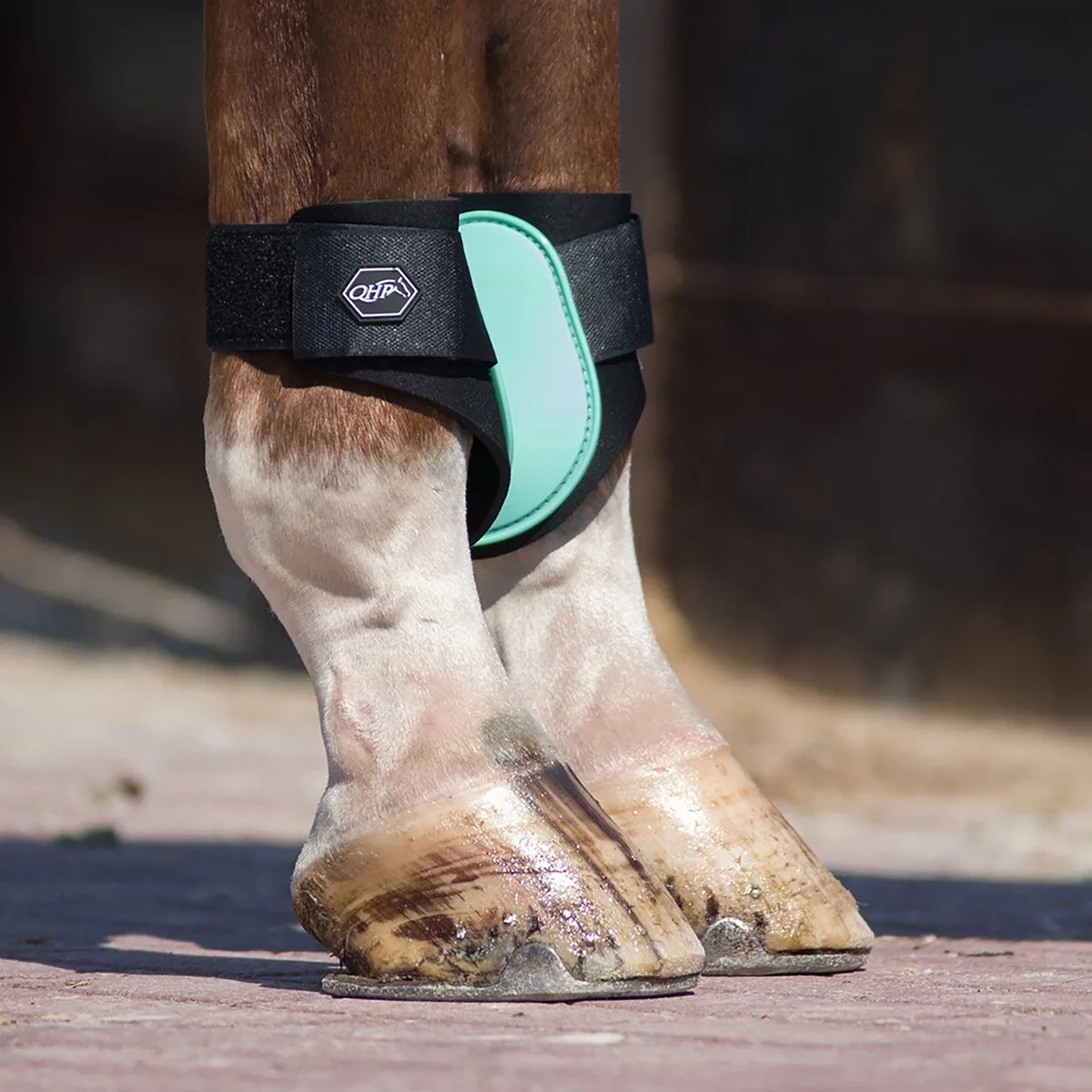 Kogelbeschermers - pony de QHP en Vert – photo produit