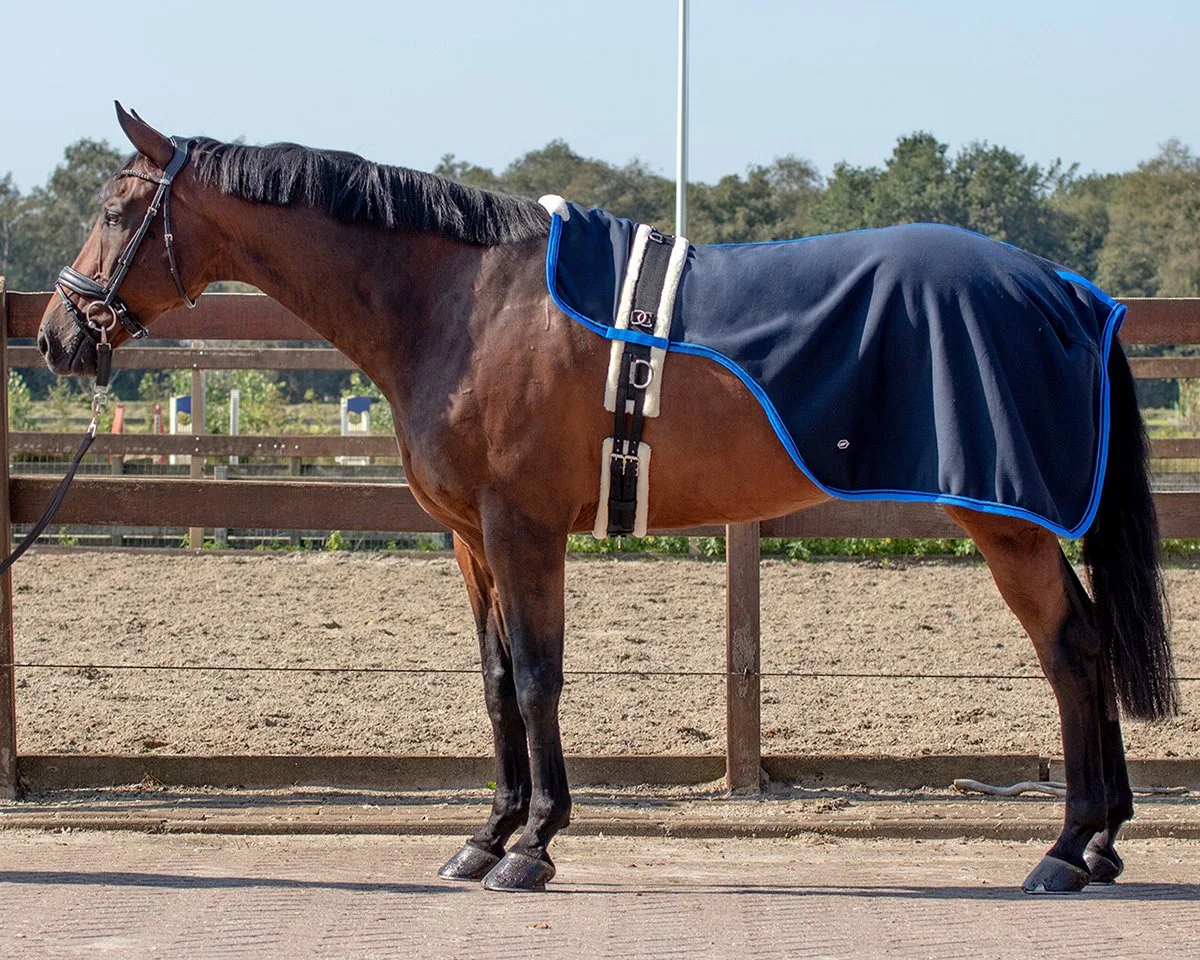 Longeerdeken Florence van QHP in Blauw – productfoto