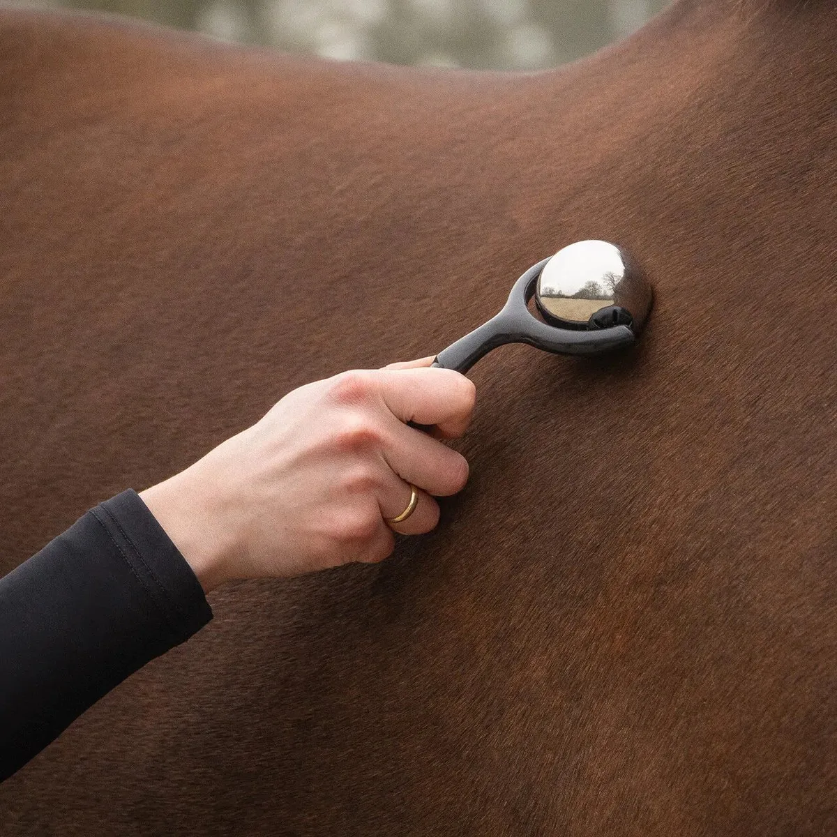 Massage roller voor paarden QHP de QHP – photo produit