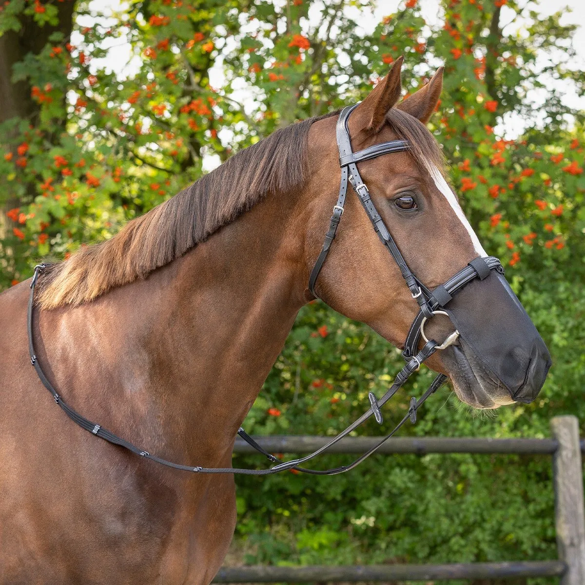 Neusnetje - Zwart - L van QHP – productfoto