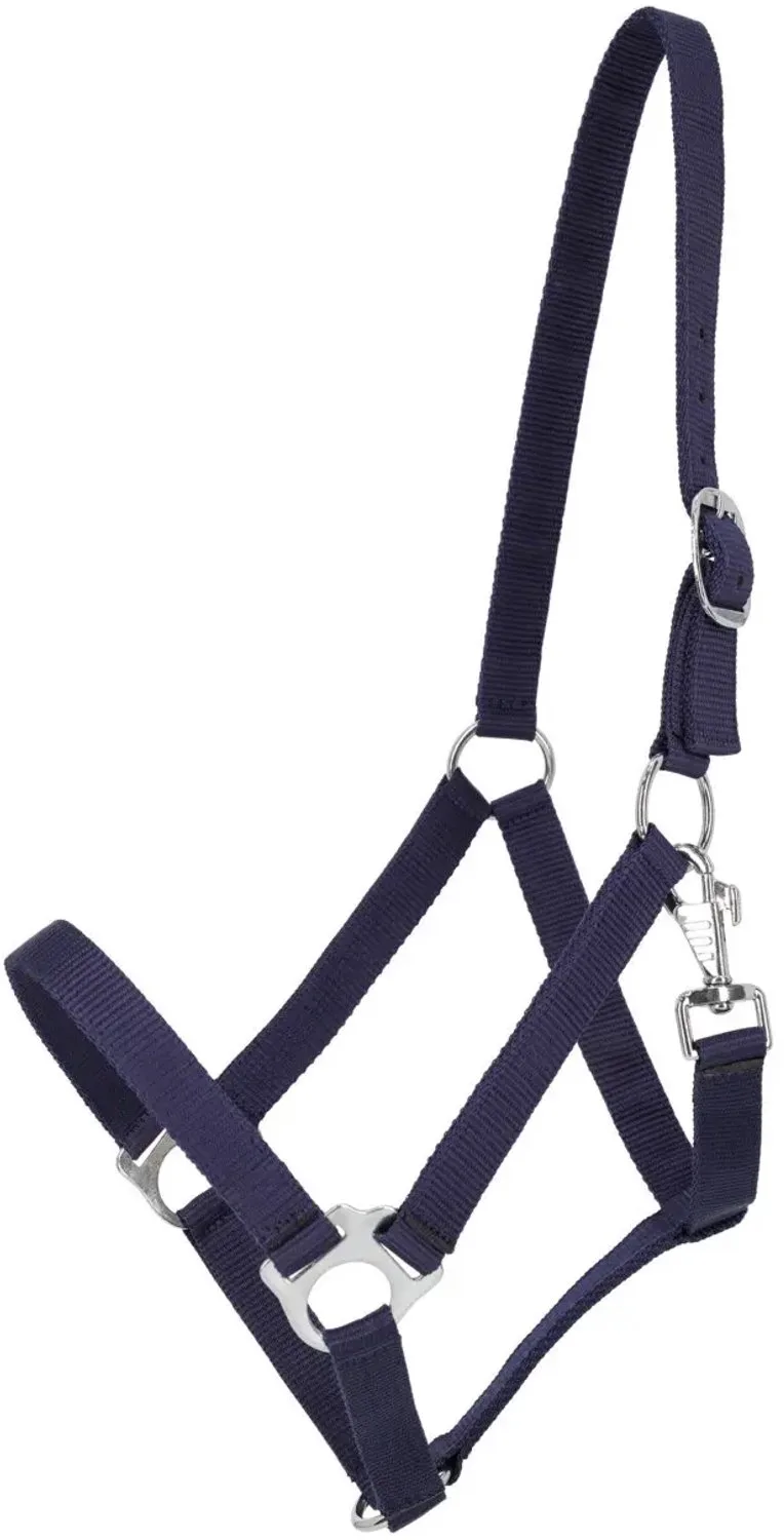 Nylon halster QHP Basic fra QHP i Marine – produktbillede