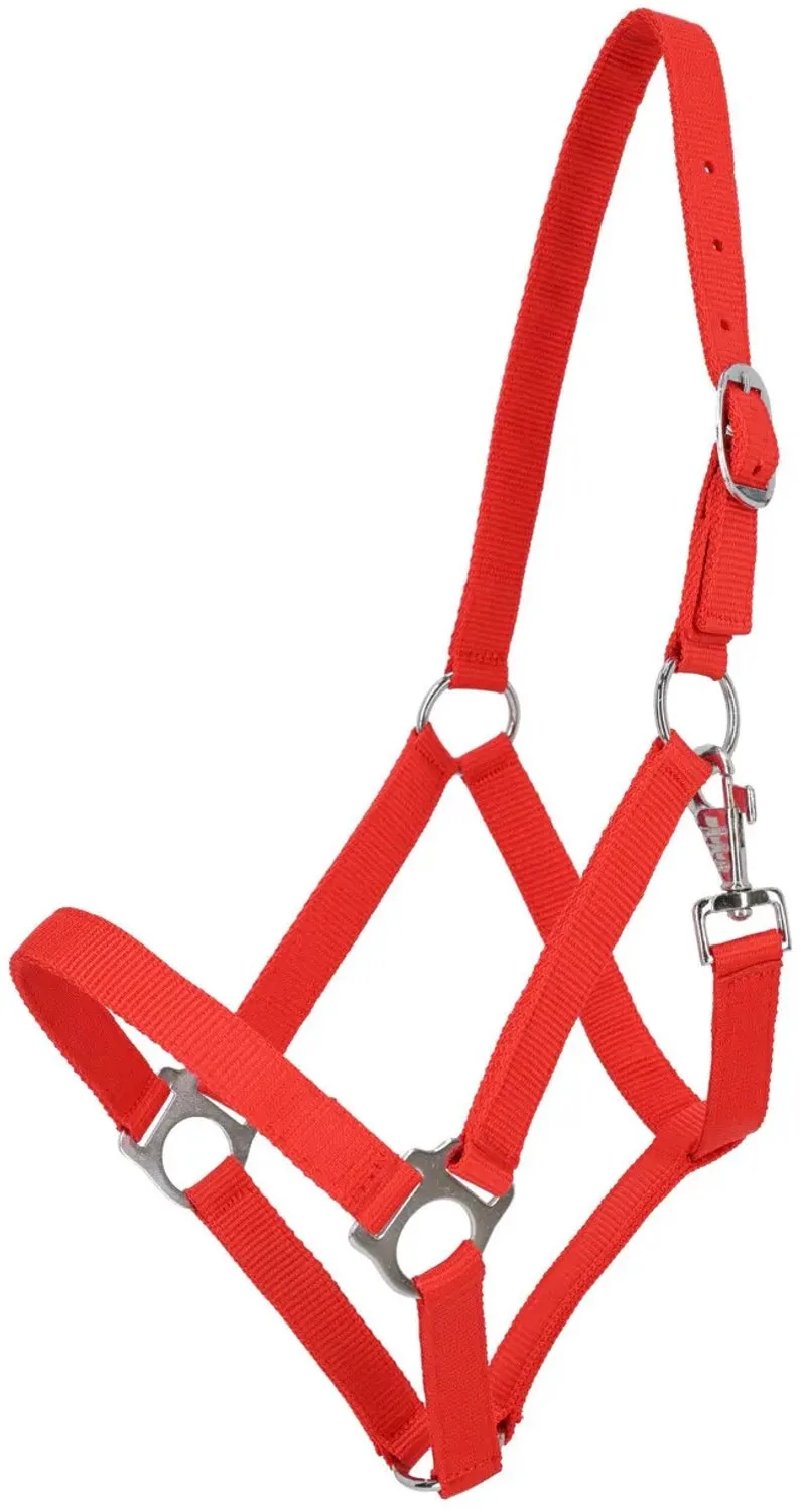 Nylon halster QHP Basic fra QHP i Rød – produktbillede