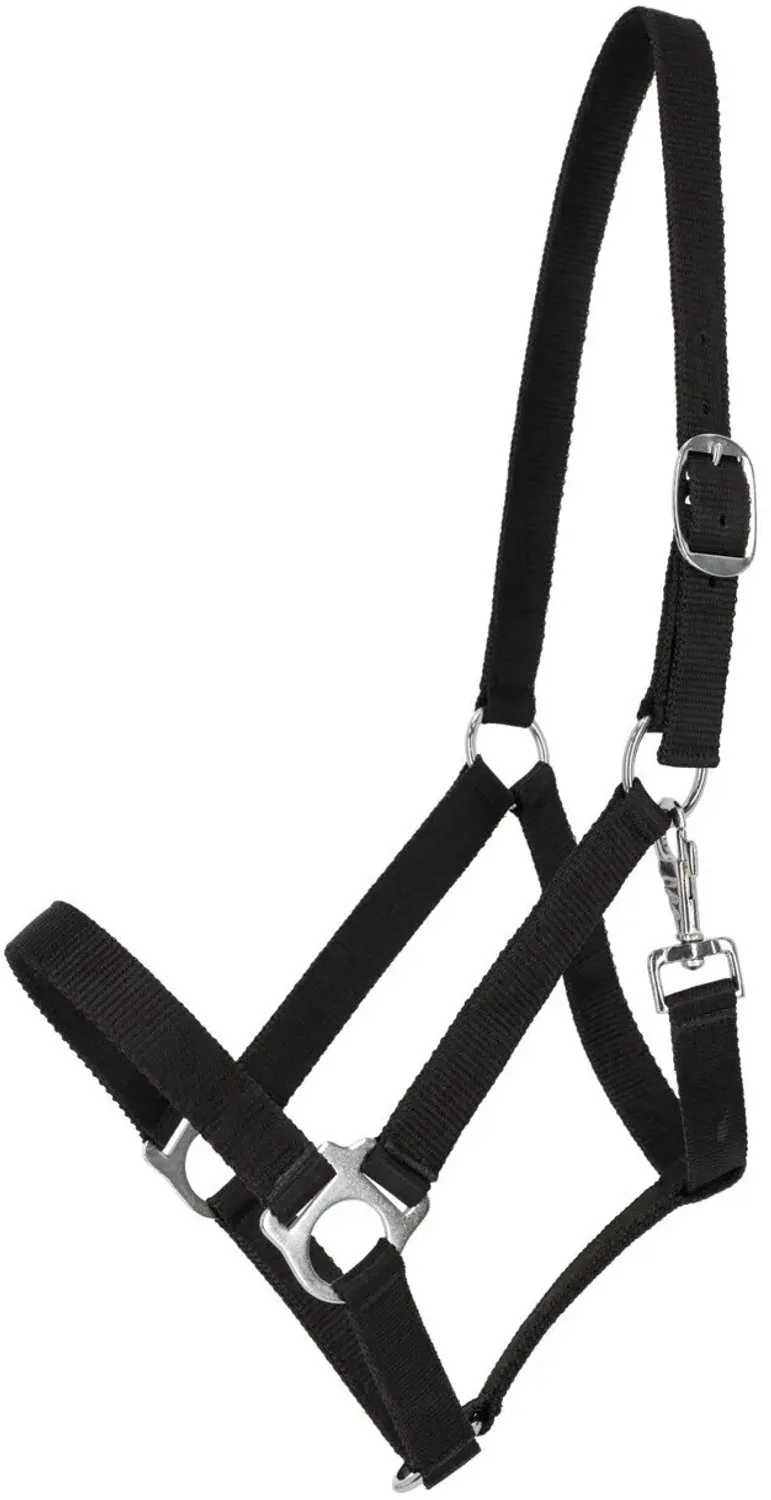 Nylon halster QHP Basic by QHP in Black – product photo