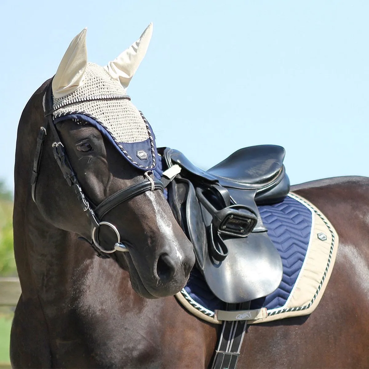 Oornetje Florida Denim Blue - Pony by QHP in Blue – product photo