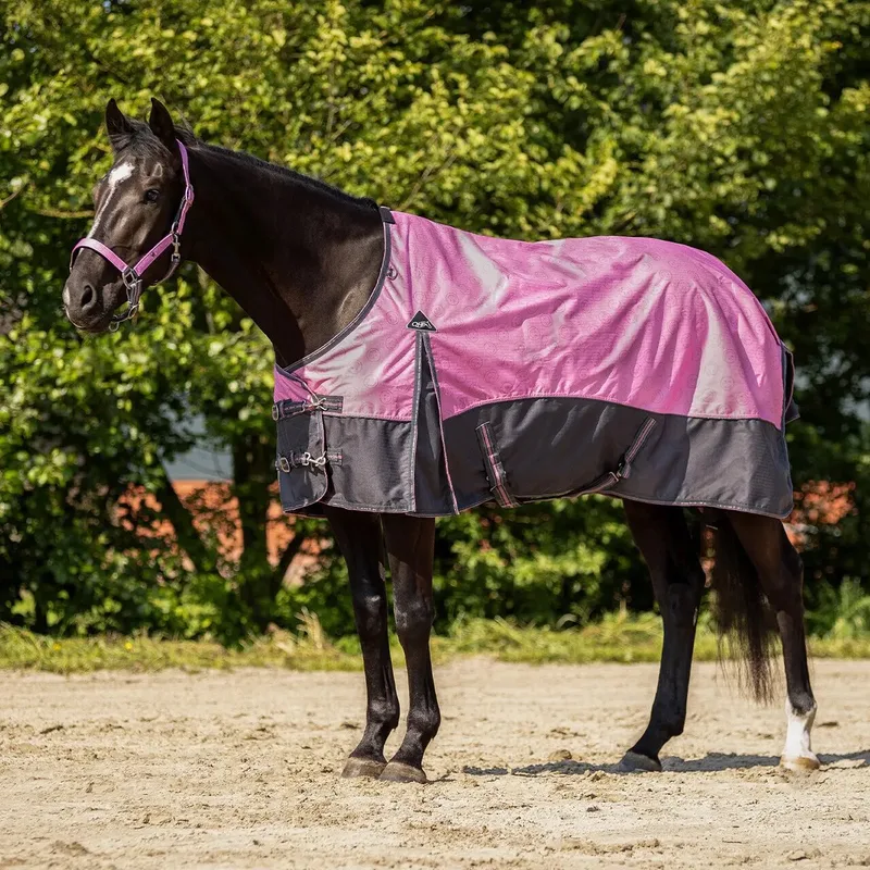 Outdoor paardendeken QHP von QHP in Cheery pink – Produktfoto