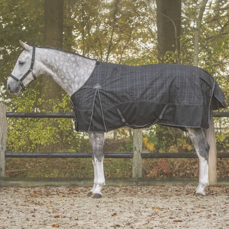 Outdoor paardendeken QHP Collection 300g by QHP – product photo