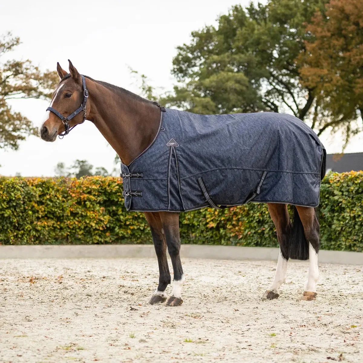 Outdoor paardendeken QHP Collection 300g von QHP in Cloud Dancer – Produktfoto