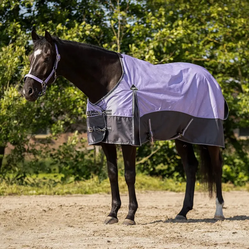 Outdoor paardendeken QHP fra QHP i Lavender haze – produktbillede