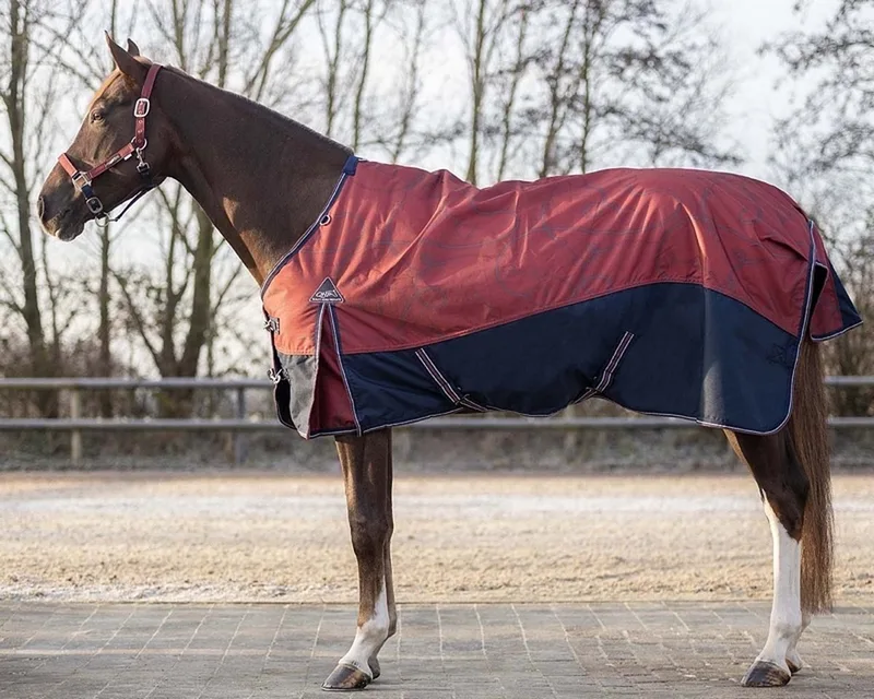Outdoordeken Turnout Collection 150gr - maat 105/145 von QHP in Saddlery – Produktfoto