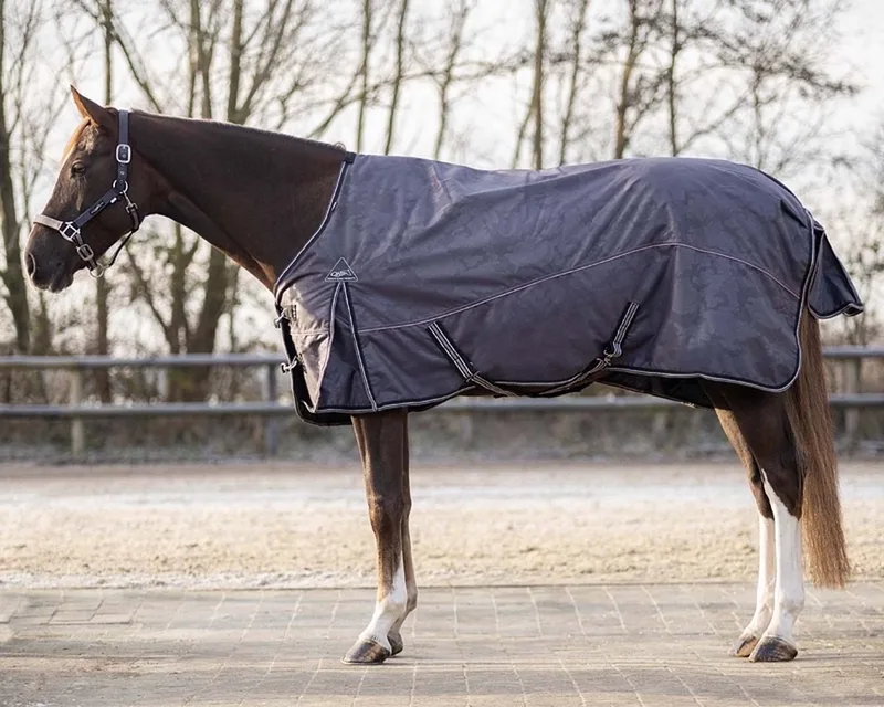 Outdoordeken Turnout Collection 150gr - maat 135/185 by QHP in Mineral – product photo