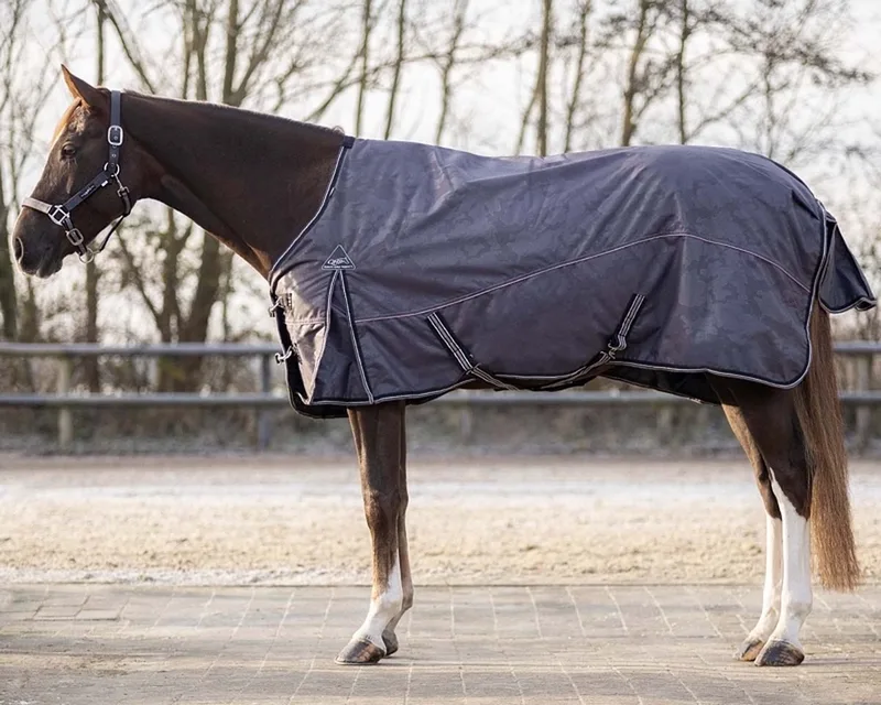 Outdoordeken Turnout Collection 300gr - maat 125/165 by QHP in Mineral – product photo