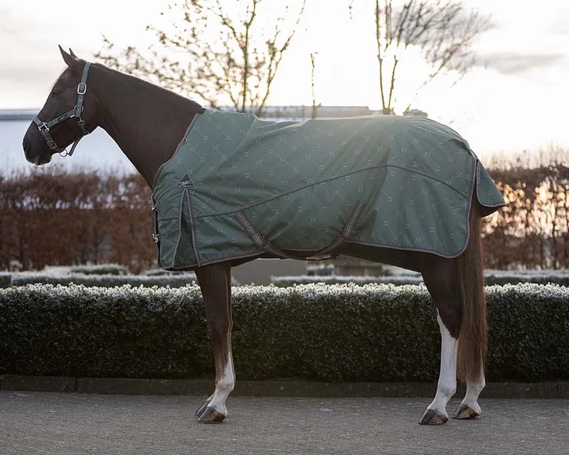 Outdoordeken Turnout Collection 300gr - maat 130/175 by QHP in Stirrup – product photo