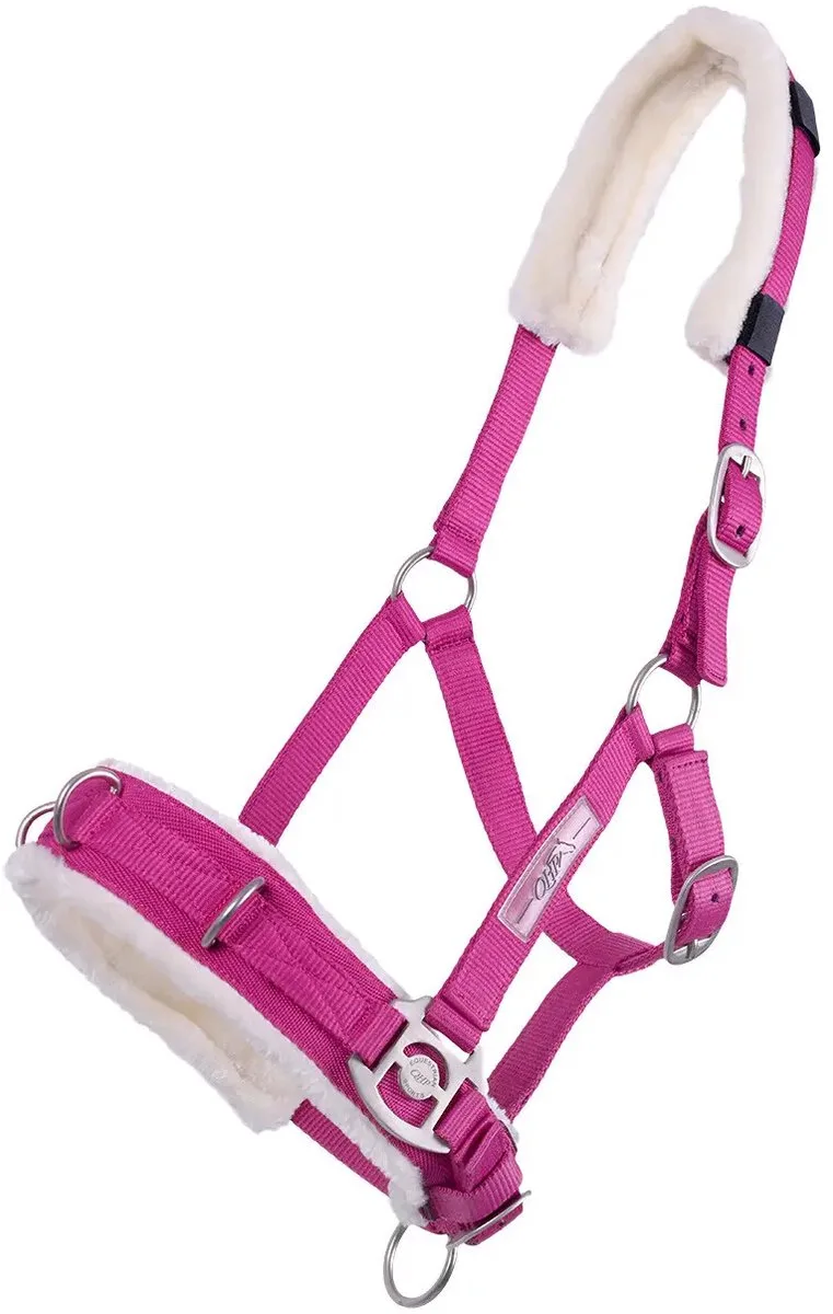 Paardenbox QHP de QHP en Fuchsia – photo produit