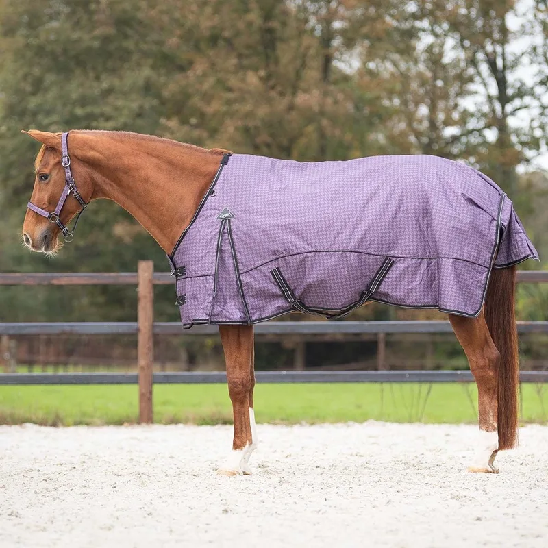Paardendeken QHP Amethyst 150g by QHP in Purple – product photo