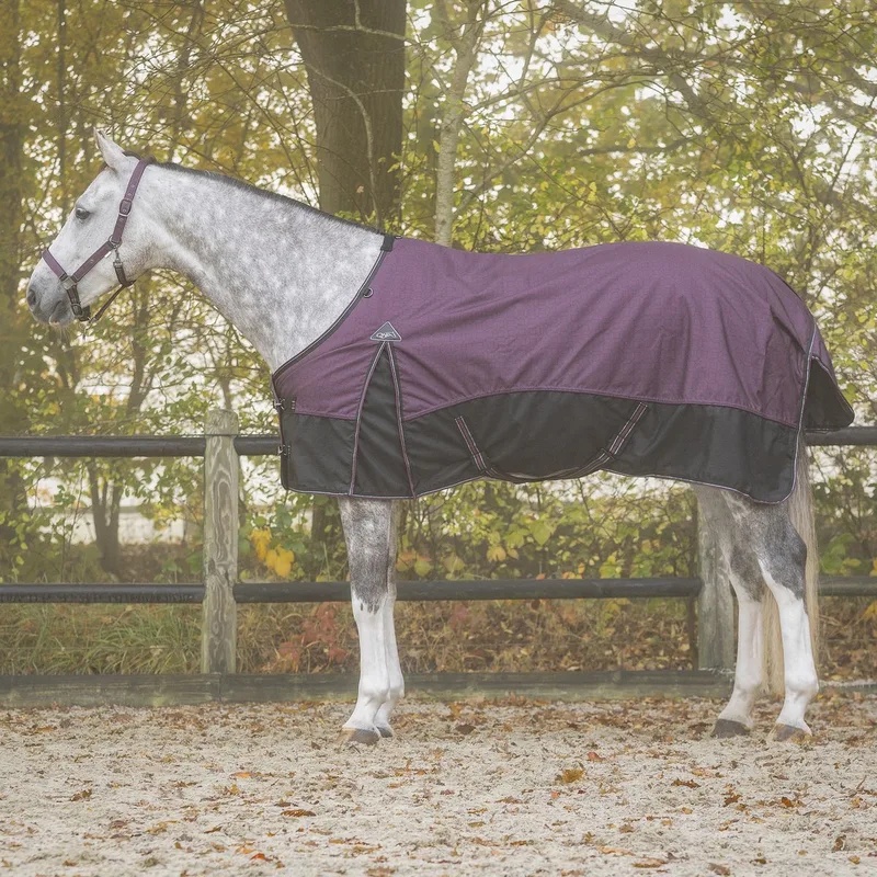 Paardendeken QHP Collection 50 g by QHP in Wijnrood – product photo
