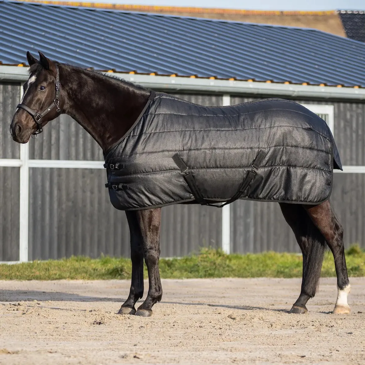 Paardendeken QHP Glitter de QHP en Noir – photo produit