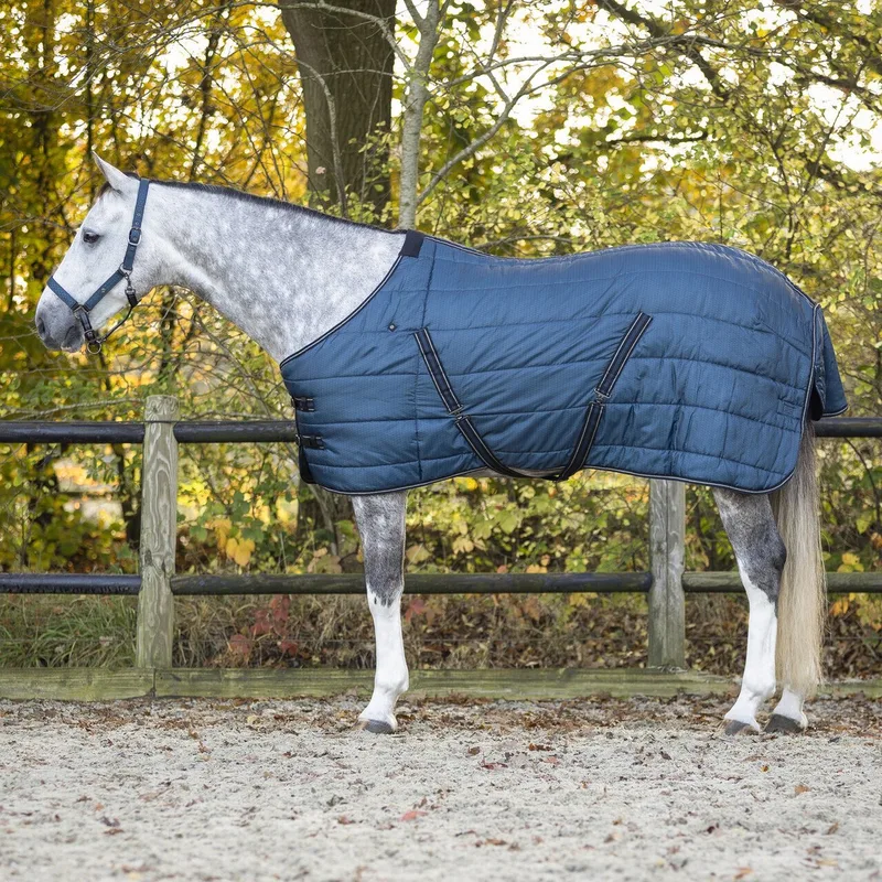 Paardendeken QHP Start Collection 200g by QHP in Blue – product photo