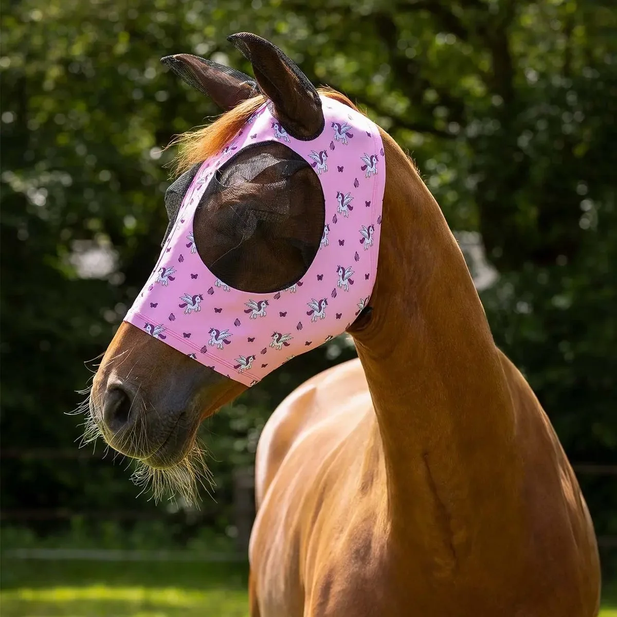 Paardenvliegen hoed QHP Super bug de QHP – photo produit