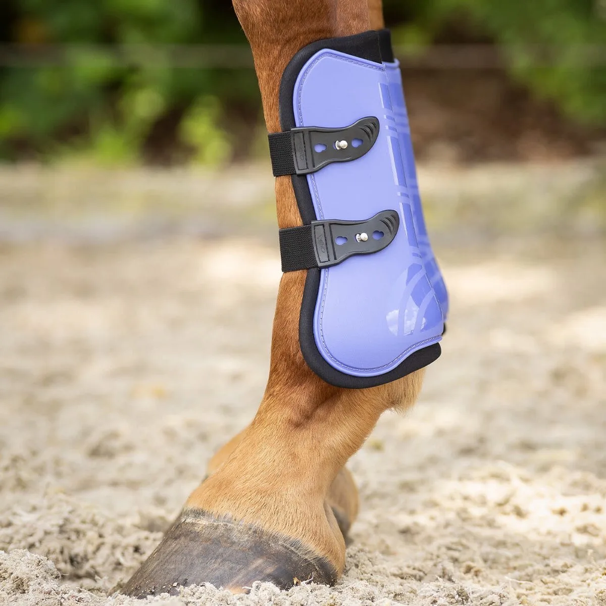 Peesbeschermersset - Pony van QHP in Paars – productfoto