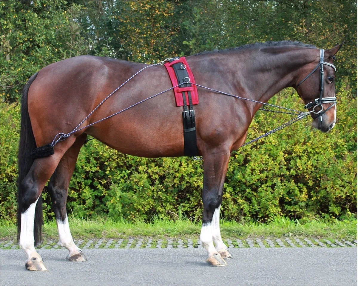 Pessoa Longeerteugel | Longeerlijn paard de QHP en Noir – photo produit