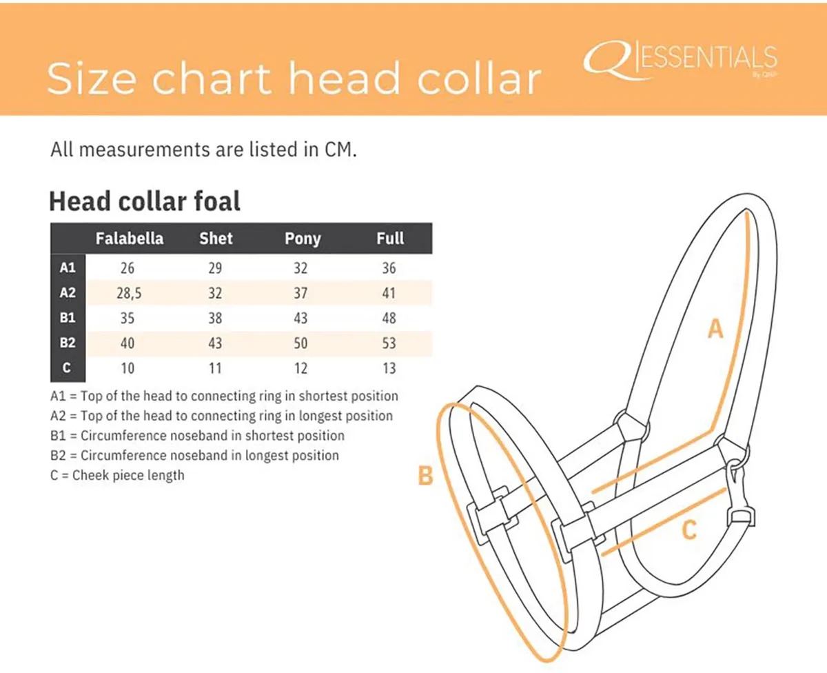 Q-essentials Veulenhalster Qhp Mini de QHP en Blanc – photo produit