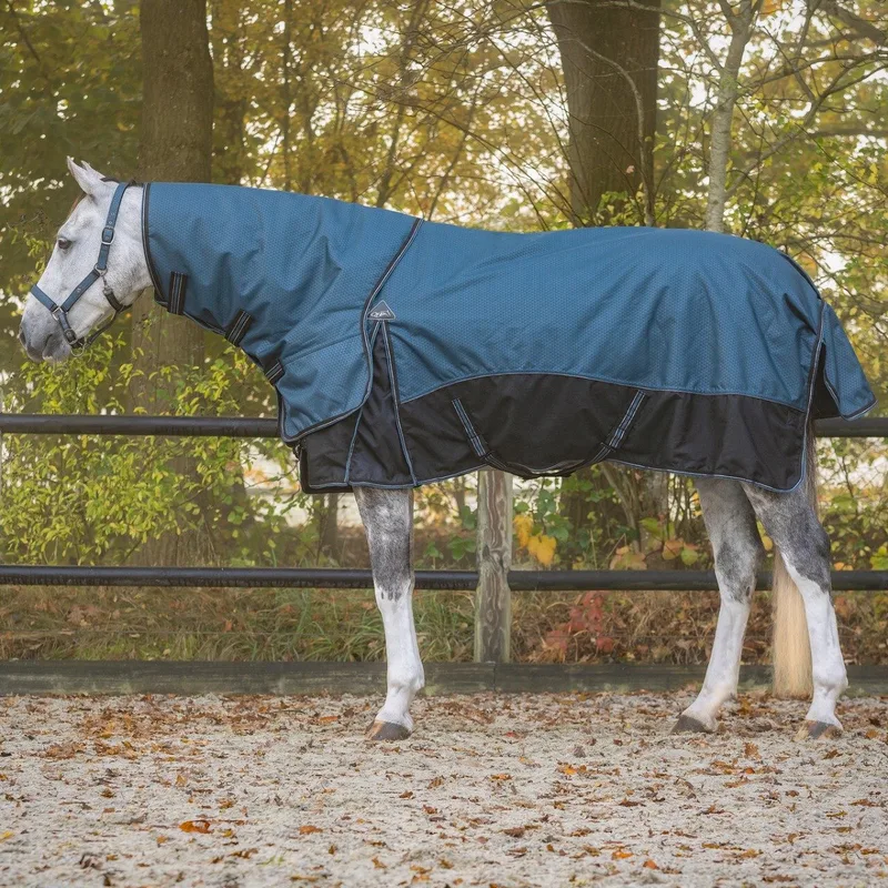 Regendeken 150gram met afneembare hals Mystic blue Buitendeken von QHP in Blau – Produktfoto