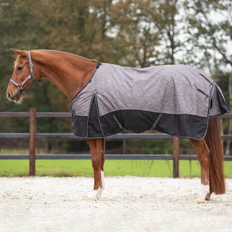 Regendeken 300gram Deken turnout 1200D Buitendeken Amber brown von QHP in Braun – Produktfoto