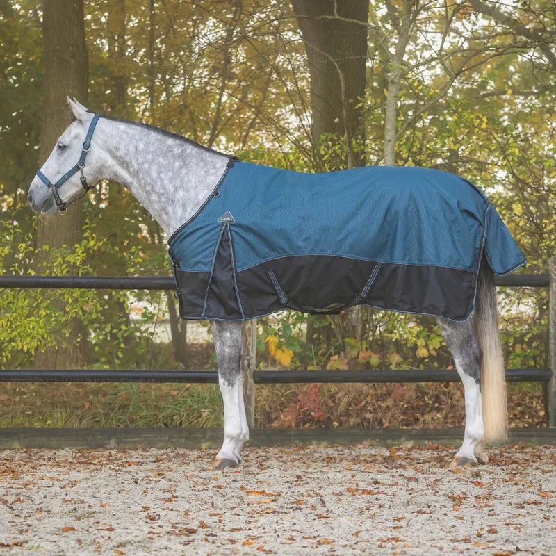 Regendeken de luxe 0 gram met fleecevoering 1200D mystric blue by QHP in Blue – product photo