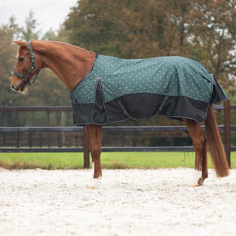 Regendeken luxe 150gram 1200D Emerald von QHP in Grün – Produktfoto