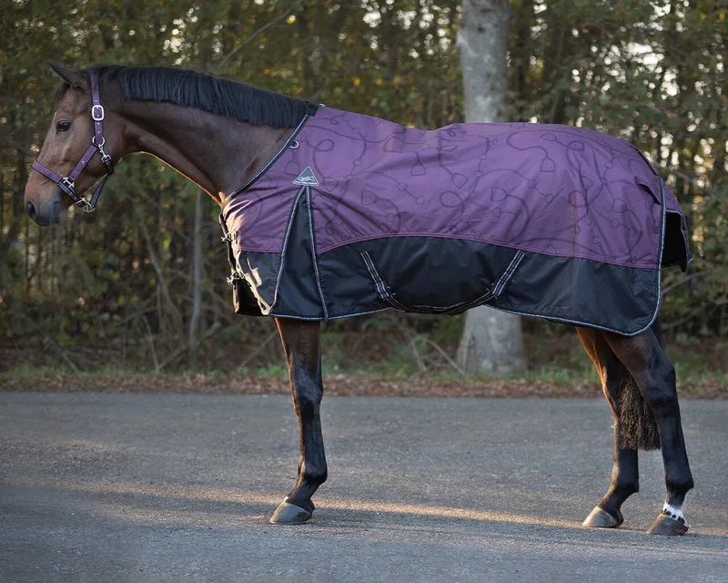 Regendeken mystrical 300gram Outdoordeken Deken turnout de QHP en Violet – photo produit