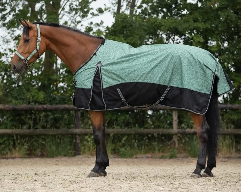 Regendeken turnout collection 0gr - maat 125/165 von QHP in Meadow – Produktfoto