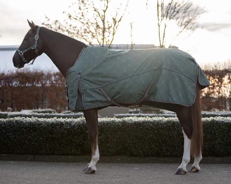 Regendeken Turnout met Fleece Collection - maat 165/215 by QHP in Stirrup – product photo