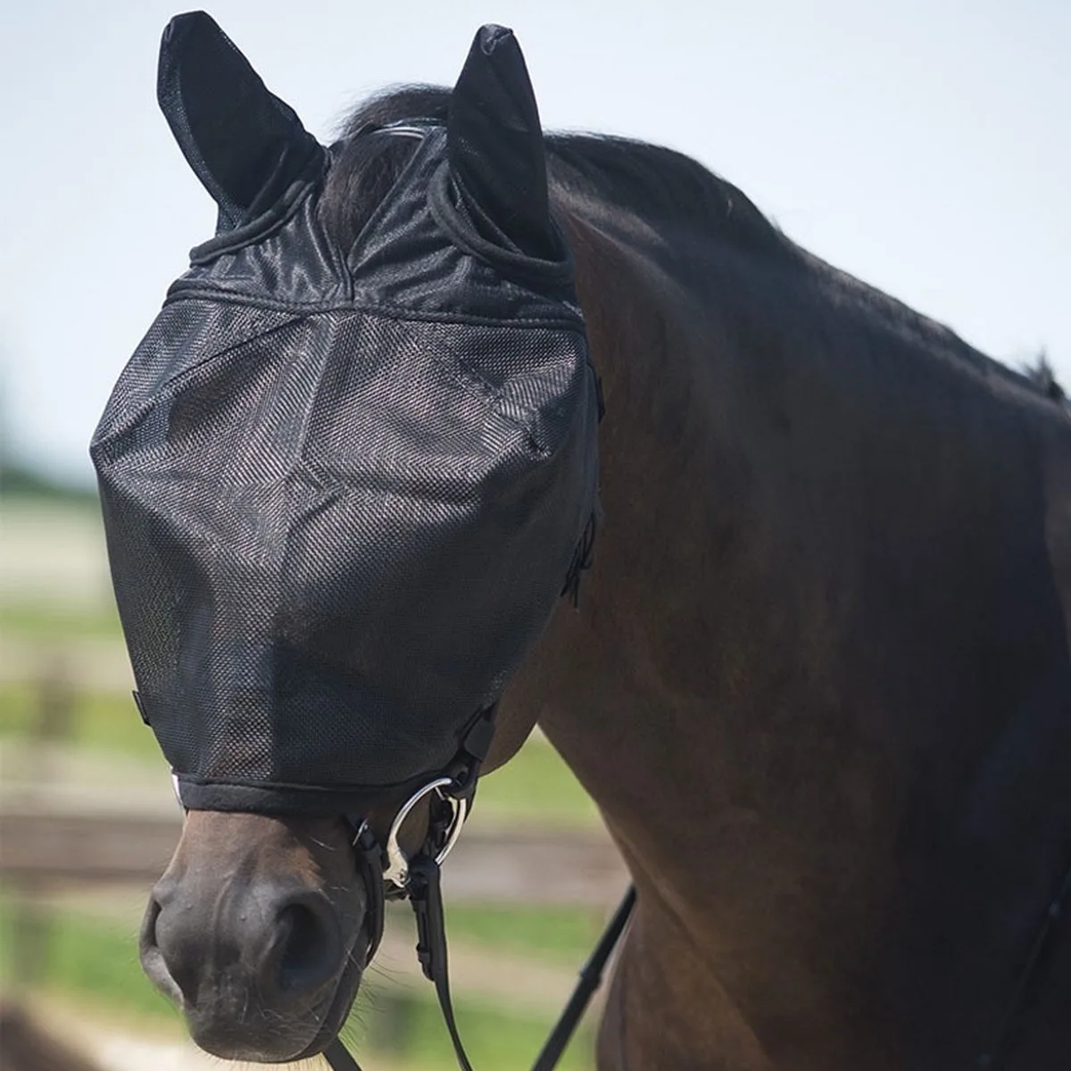 Rij Vliegenmasker Met Oren Zwart - Pony de QHP – photo produit