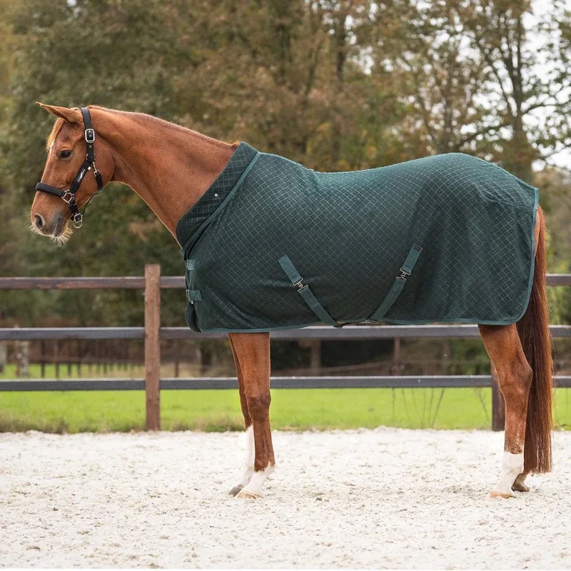 Showdeken Avélie Jungle Green - 185 - Regendeken by QHP in Green – product photo