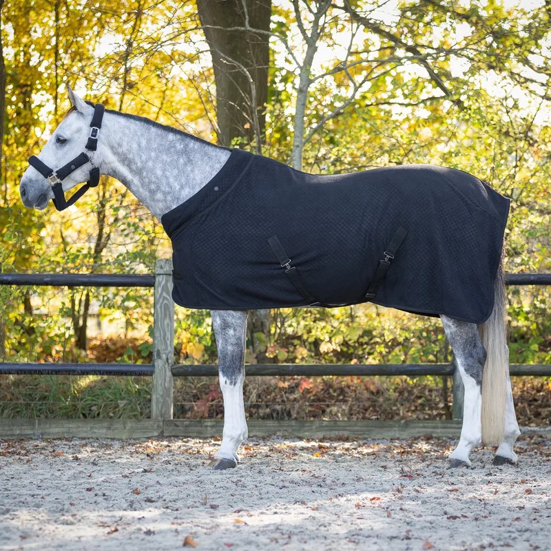 Showdeken Zahra - 185 - Zweetdeken de QHP en Noir – photo produit