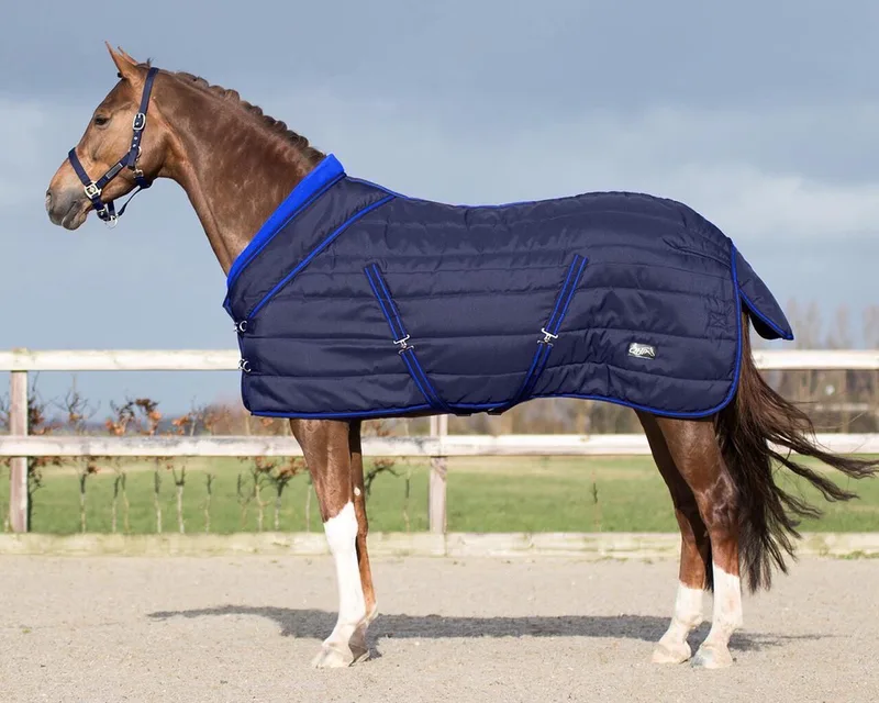 STALDEKEN LUXE COLLECTION 200GR blauw-145 de QHP en Navy blauw – photo produit