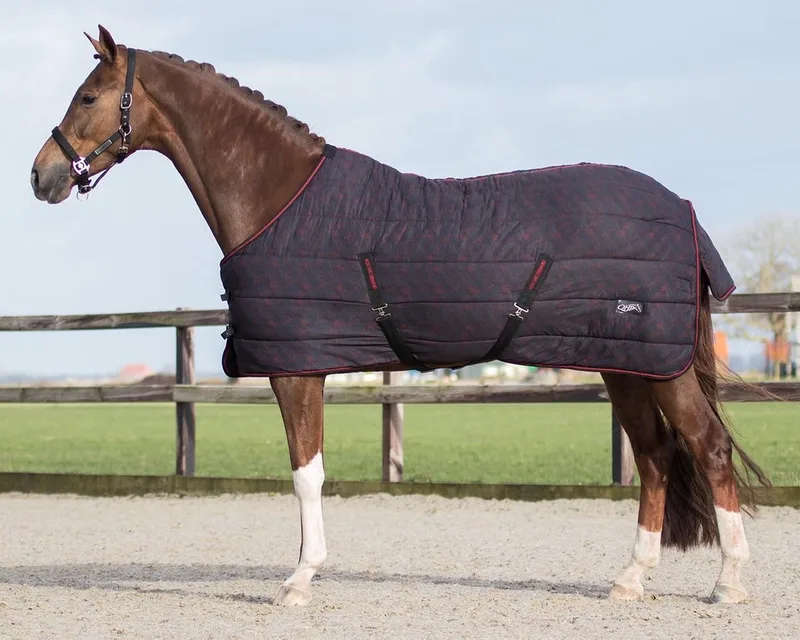 Staldeken start Collection 200gr van QHP in Wildlife – productfoto