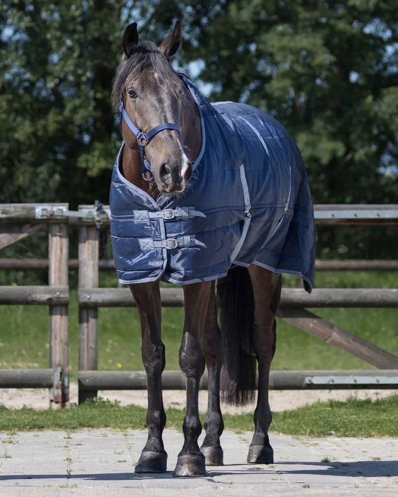 Staldeken Start NavyGrams: 150gr - 195 - Regendeken | Staldekens paard de QHP en Bleu foncé – photo produit