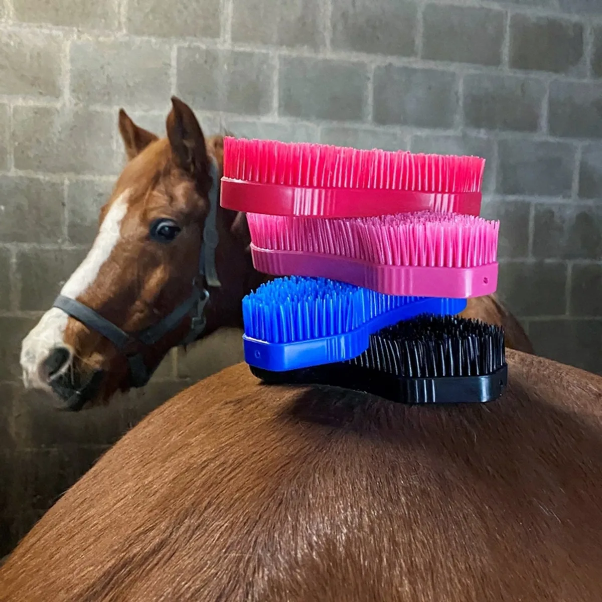 Super Brush Qhp de QHP en Bleu – photo produit