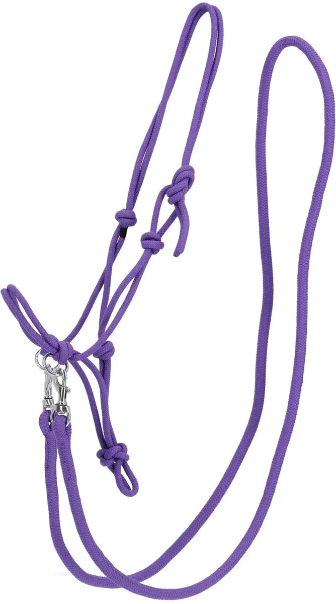 TOUWHALSTER COLOR MET TEUGEL de QHP en Violet – photo produit