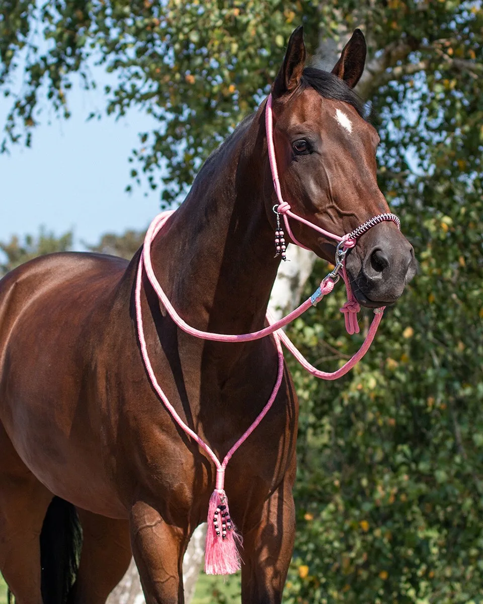 Touwhalster - Combi Neckrope - Liberty - Cob de QHP en Flamingo Pink – photo produit