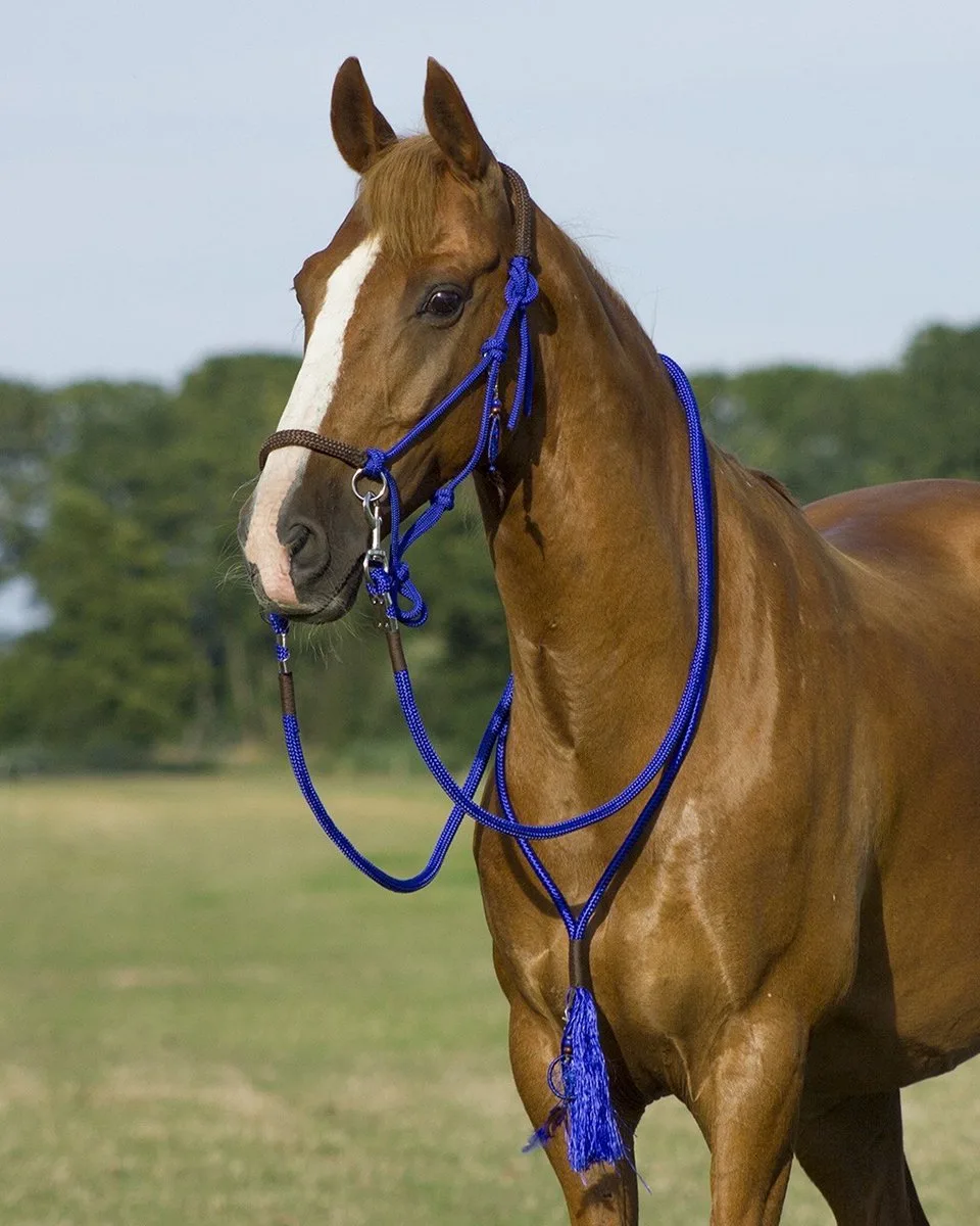 Touwhalster - Combi Neckrope - Liberty - Cob von QHP in Kobaltblauw – Produktfoto