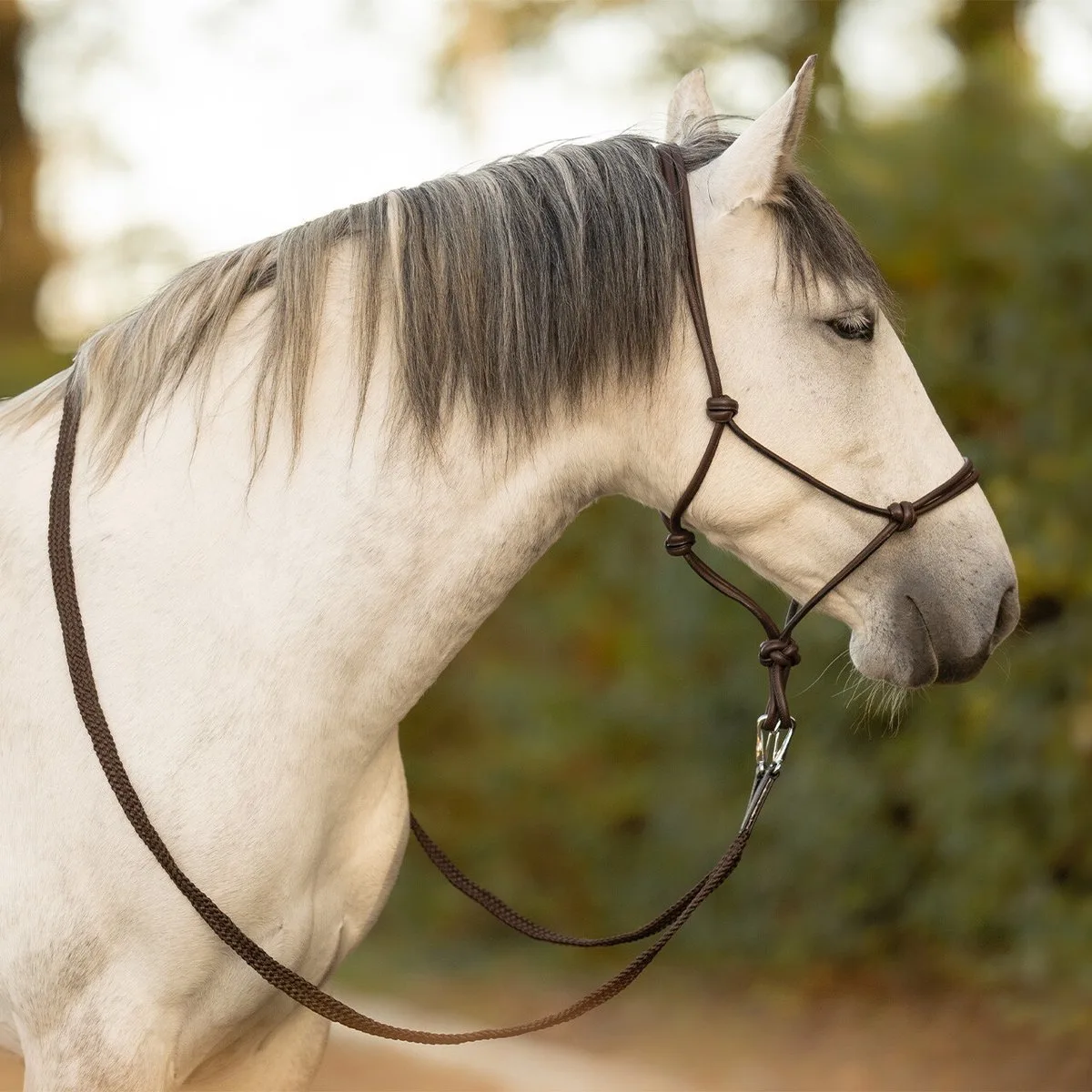 Touwhalster leer Liberta - Full | Halstertouw paard de QHP en Marron – photo produit