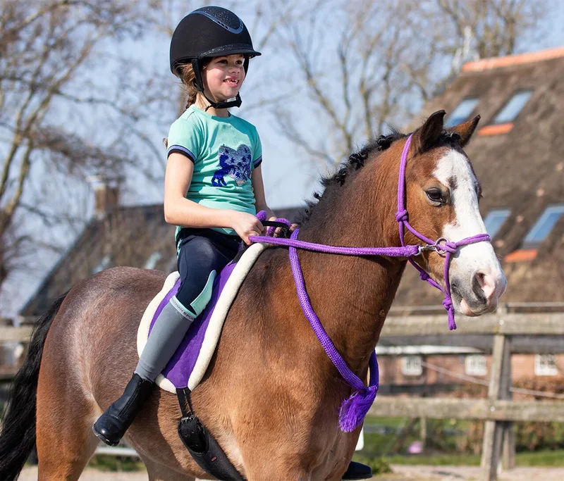 Touwhalster Met Teugels - pony by QHP in Purple – product photo
