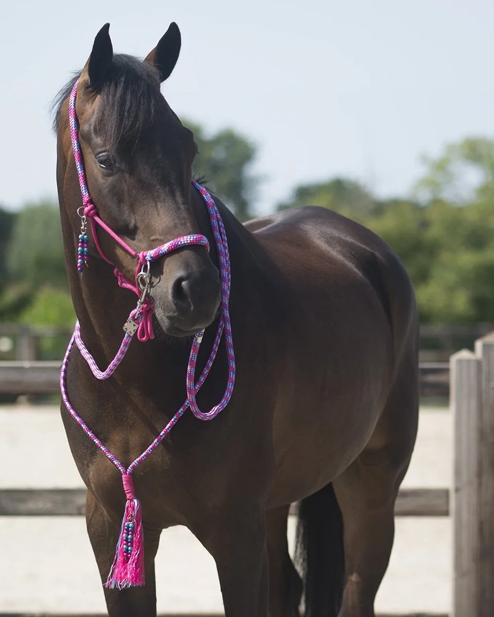 Touwhalster & Neckrope Liberty - Cob de QHP en Fuchsia – photo produit