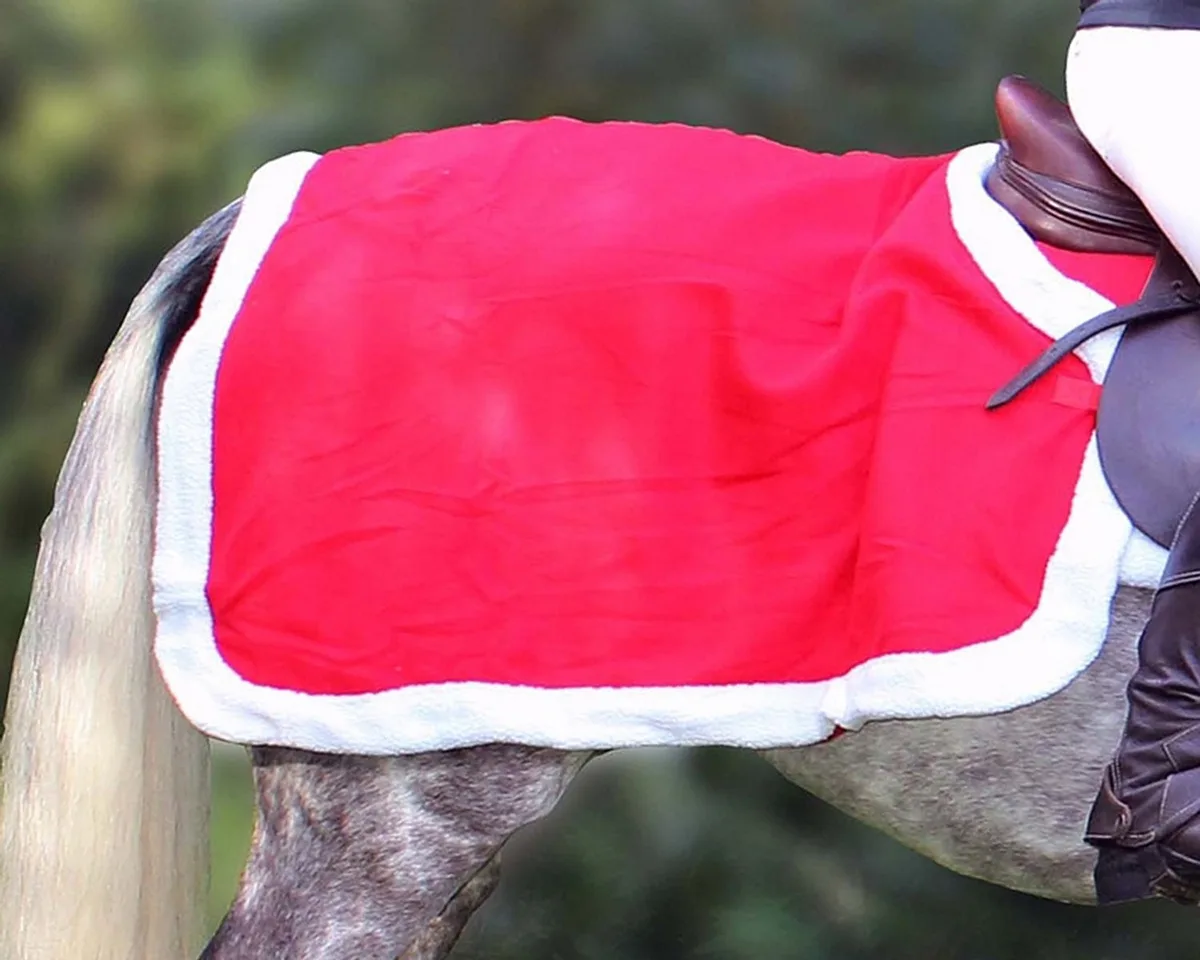 Uitrijdeken Kerst - Paardendeken - Rood/Wit - Full de QHP en Rouge – photo produit