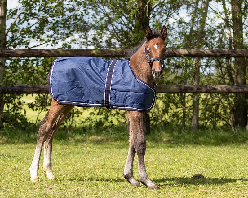 Veulendeken turnout 100gr Navy - 95 - Regendeken by QHP in Blue – product photo